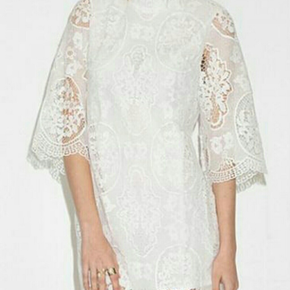 Lace Shift Dress